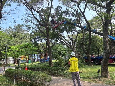 01-迎戰強風豪雨超前部署！中市建設局提前1個月完成1.3萬株樹木修剪