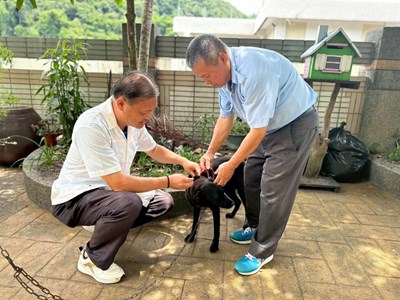 巡迴注射情形