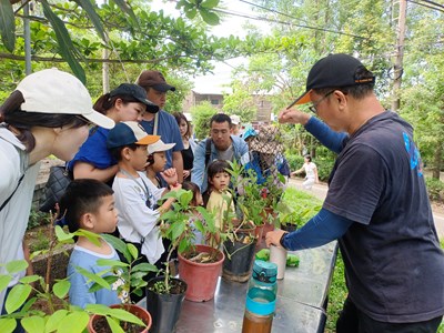蝴蝶蜜源植物解說