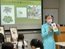 常設展端午活動4