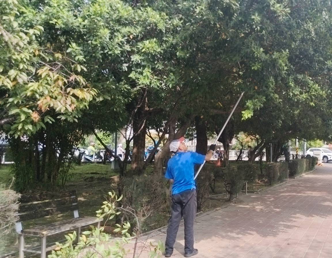 圖片來源:臺中市政府