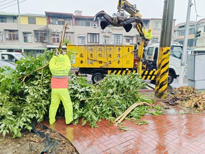 各區清潔隊持續以人工搭配機具清除散落枝葉及廢棄物，辦理環境整理