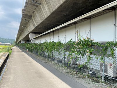 綠化植栽1