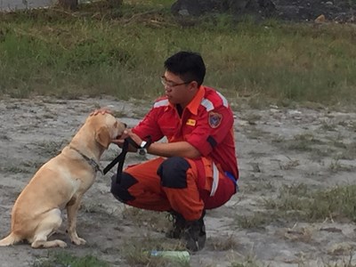 台中搜救犬鐵雄、腿腿獲IRO國際認證