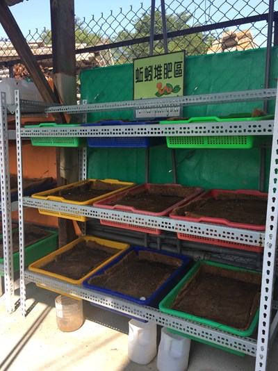 印度藍蚯蚓將廚餘變黑金 中市環保局開班授課