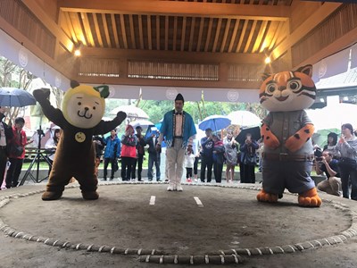 台日吉祥物相撲PK戰 花博「虎爸」拼戰精神贏得滿堂彩