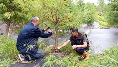 農業局辦理造林實務講座 教導正確造林知識