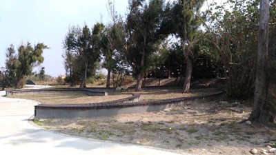 高美遊客中心樹木冬季落葉 建設局:植栽均保活階段 若枯死將速補植
