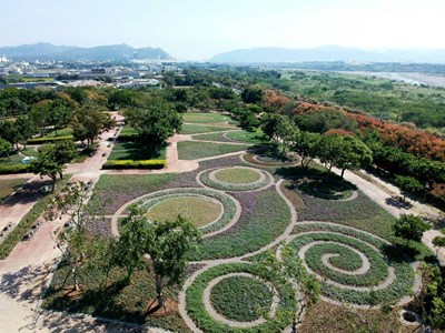 花毯節突破125萬參觀人次 棒棒糖花海超吸睛