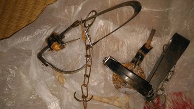 和平區若茵農場違法使用捕獸鋏 最高可處7萬5千元罰鍰