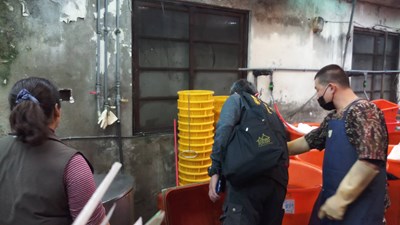 民眾檢舉食品業者產製環境衛生差 中市食安處稽查勒令業者暫停作業