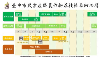 中市製作荔枝椿象防治曆 2月啟動全市防治工作