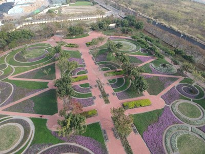 春節走春賞花 后里環保公園棒棒糖花海綻放遊客驚艷