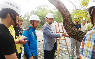 photo1(建設局長黃玉霖與國際樹木醫生前往后里森林園區為樹木進行健診觀察。/台中市建設局提供)