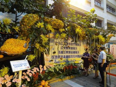 二十公尺大型花藝黃金蟒蛇在市府陽明大樓現身