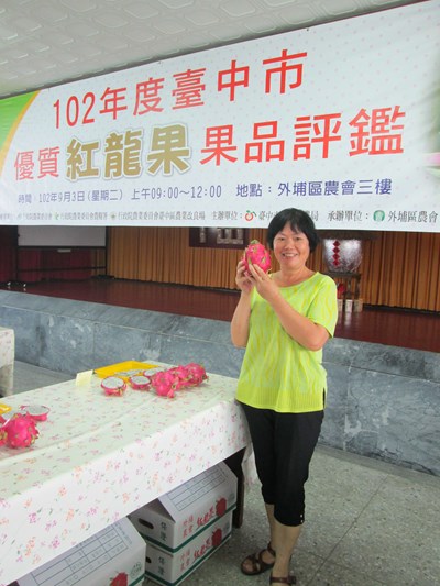 臺中市優質紅龍果評鑑 農友湯玉蘭榮登「紅龍果達人」