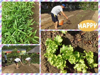 環保農園第二期新招募 體驗幸福農耕趣