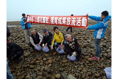復育小眼花簾蛤 今日舉辦放流活動