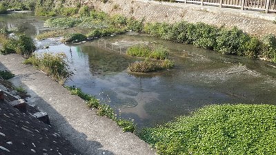 黎明溝疑遭餐飲業者排放廢水  市府已展開追查