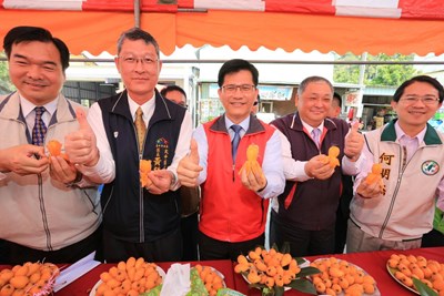太平枇杷節系列活動將陸續登場 林市長試吃太平枇杷讚不絕口