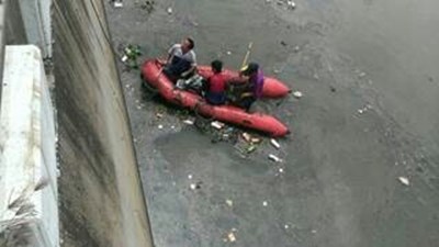 梧棲大排魚體死亡預計今日傍晚前完成清理 環保局送驗查原因