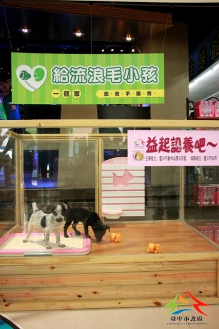 流浪犬貓認養 動保處提「天使接班狗」概念