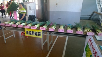 行銷大安青蔥 市府輔導農會推廣