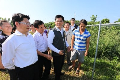 林市長視察花博用地 中市府從優補償農民導入種植技術 打造外埔「花果原鄉」