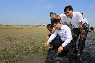 中市府提「海線雙星」計畫 打造高美濕地與梧棲漁港濱海地區觀光亮點
