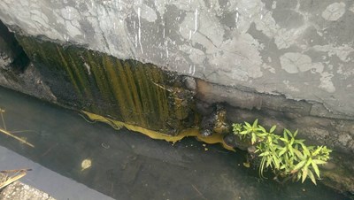 大里區工廠排油污 環保局迅速稽查告發