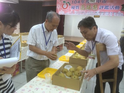 優質高接梨評鑑出爐 黃政乾榮獲高接梨達人