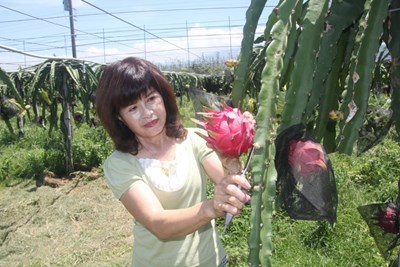 蕭素蘭參與農民大學堂 農婦變貴婦