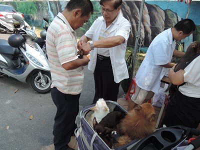 守護寵物的健康 12月份犬貓狂犬病疫苗注射將開跑