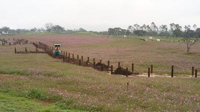 市府創意環保 颱風傾倒樹枝變成步道鋪設、綠地堆肥基材