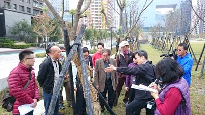 市府舉辦樹木養護會議 盼提供市政公園八重櫻友善生長環境