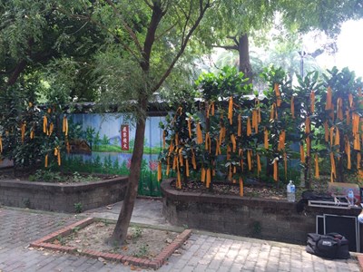 欣中自稱七期惠來整壓站合法 市府:悖離事實