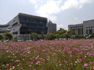 國資圖旁建成營區花海繽紛 拍婚紗正夯
