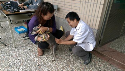 預防狂犬病 5月疫苗巡迴注射將開跑