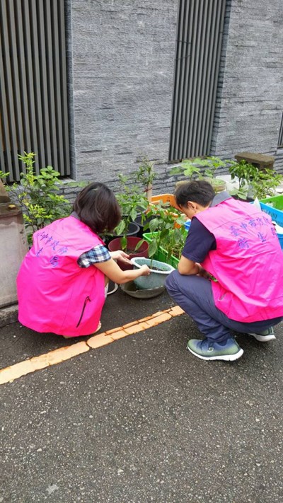 夏日病媒蚊生長活躍 衛生局持續監測社區登革熱病媒蚊