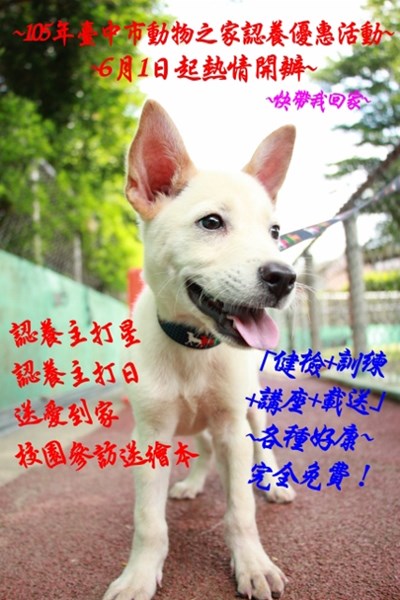 帶毛小孩回家 動物之家推認養優惠活動