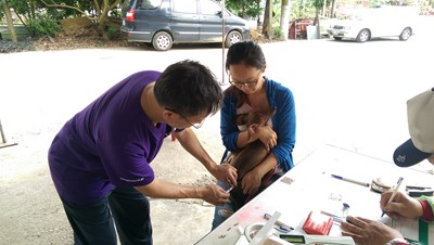 守護寵物健康 8月狂犬疫苗及晶片注射活動將開跑