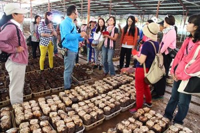環保局食農教育體驗 第二波活動明起開放報名