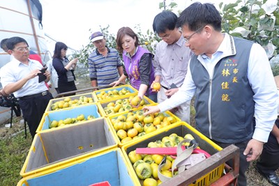 【梅姬颱風】持續關心農業災損 林市長赴東勢、大甲視察
