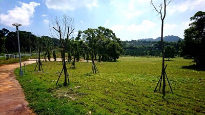 打造休憩新亮點 豐原公老坪公園綠美化完工
