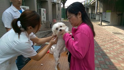 愛護寵物健康 11月月份疫苗巡迴注射1日開跑