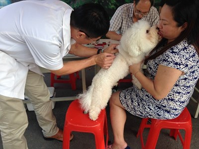 守護毛小孩健康 中市12月狂犬疫苗及晶片注射活動將開跑