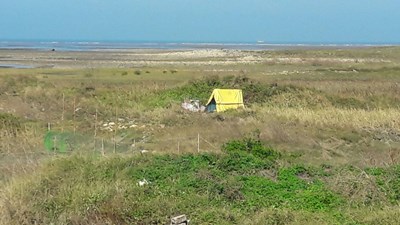 高美濕地保護區遭人搭設工寮 中市農業局執法拆除