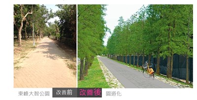 推動市中心精華路段綠色道路 中市建設局改善綠園道行走環境
