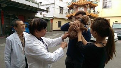 新年讓寵物更健康 中市1、2月份疫苗巡迴注射12日開跑