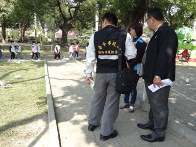 中市公園餵鴿今起開罰 市府籲民眾加強自我防護避免禽流感風險